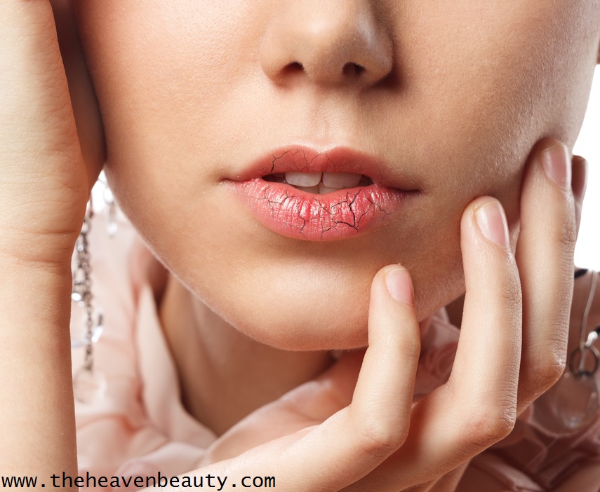 Perfect Lip Balms for Dry and Chapped lips | The Heaven beauty