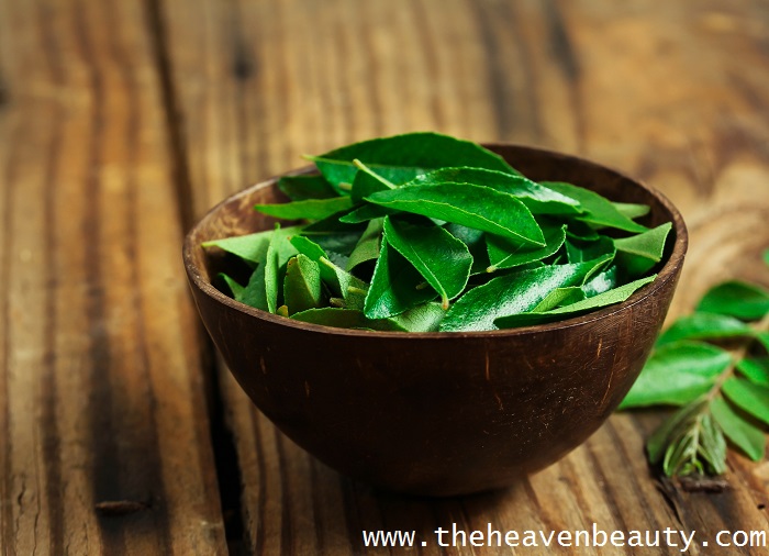 Curry leaves for thick eyebrows