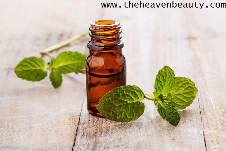 Peppermint essential oil for beard growth