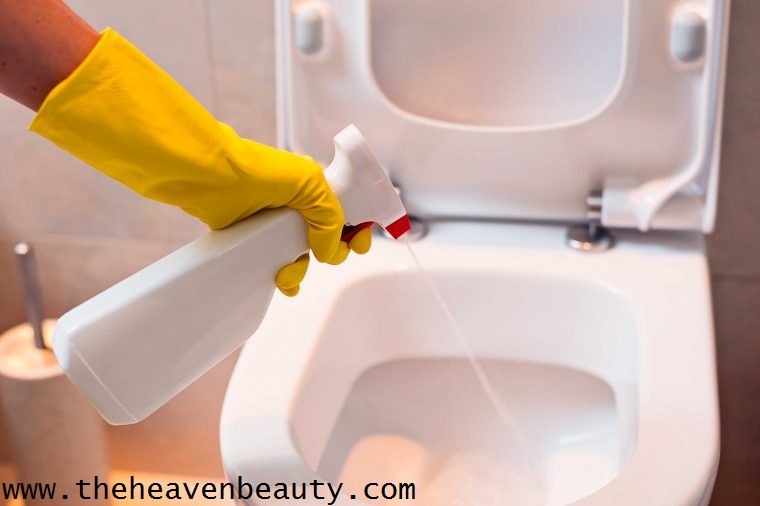 Toilet Seat Sanitizer Spray
